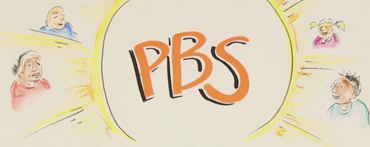 PBS image from BILD video